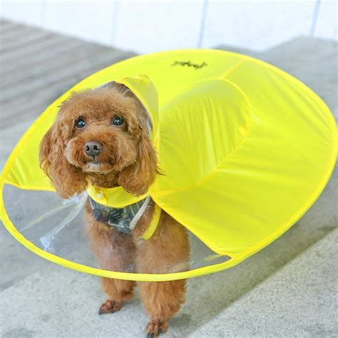 dog raincoat with umbrella attached.